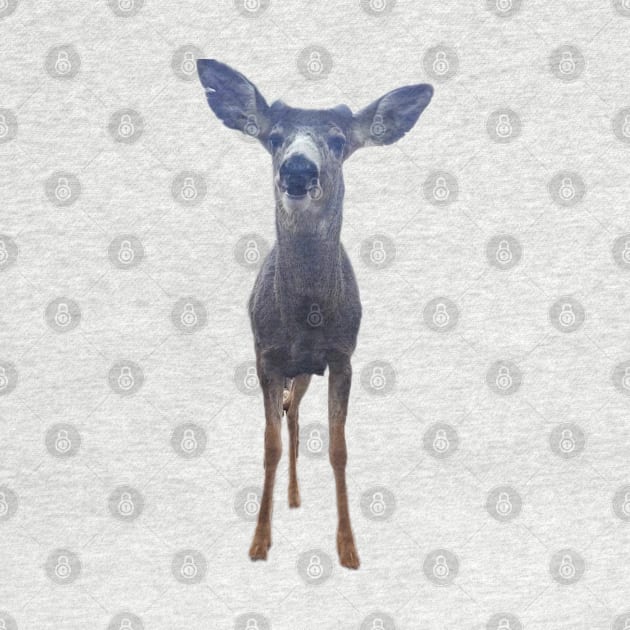 Cute Deer by Lexi Simpson Original Art